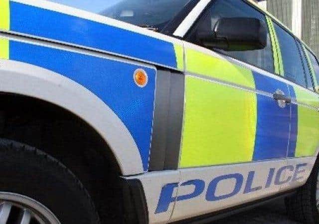 A man has died after a dog attack in a park in Hampshire.