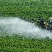 The elmination of fungicides is the ultimate goal of new research (Picture: Getty)