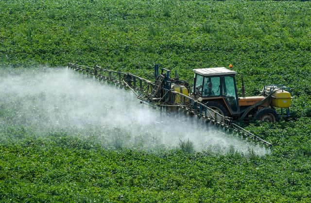 The elmination of fungicides is the ultimate goal of new research (Picture: Getty)