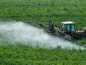 The elmination of fungicides is the ultimate goal of new research (Picture: Getty)