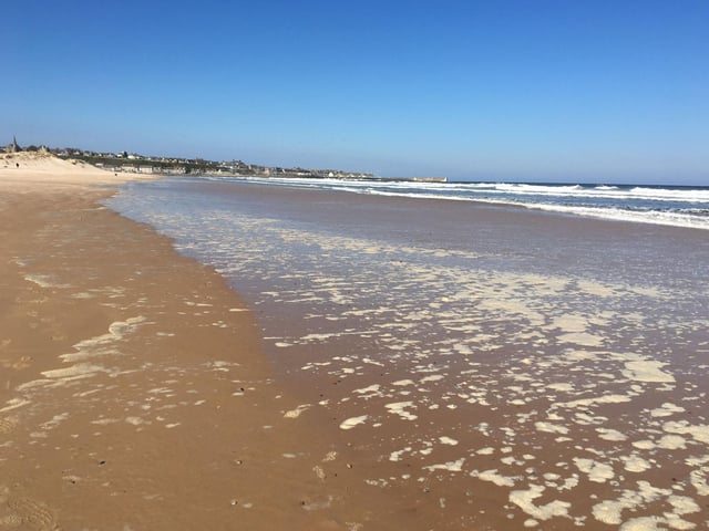 Accessed through sand dunes, Lossiemouth East Beach is a mixture of pebbles and sand that offers dog walkers a chance to see the famous resident Moray Firth bottlenose dolphins.