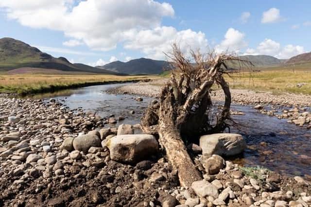The projects will take practical steps to help against the twin crises of climate change and biodiversity loss