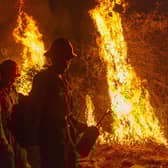 Global warming has led to a dramatic increase in wildfires in places like California (Picture: David McNew/Getty Images)