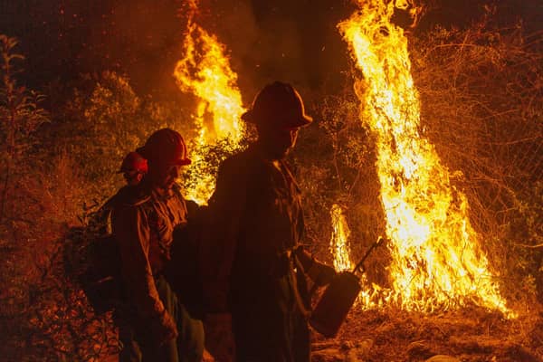 Global warming has led to a dramatic increase in wildfires in places like California (Picture: David McNew/Getty Images)