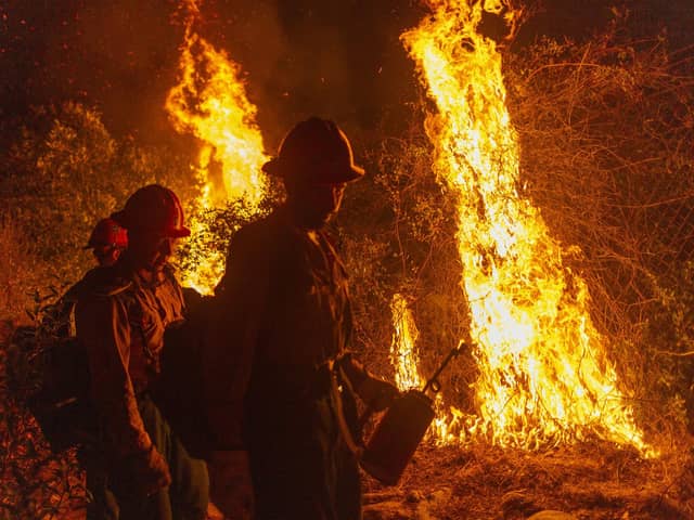 Global warming has led to a dramatic increase in wildfires in places like California (Picture: David McNew/Getty Images)