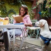 More than a third of surveyed Brits refuse to dine at a restaurant that doesn’t accept pets (photo: Adobe)