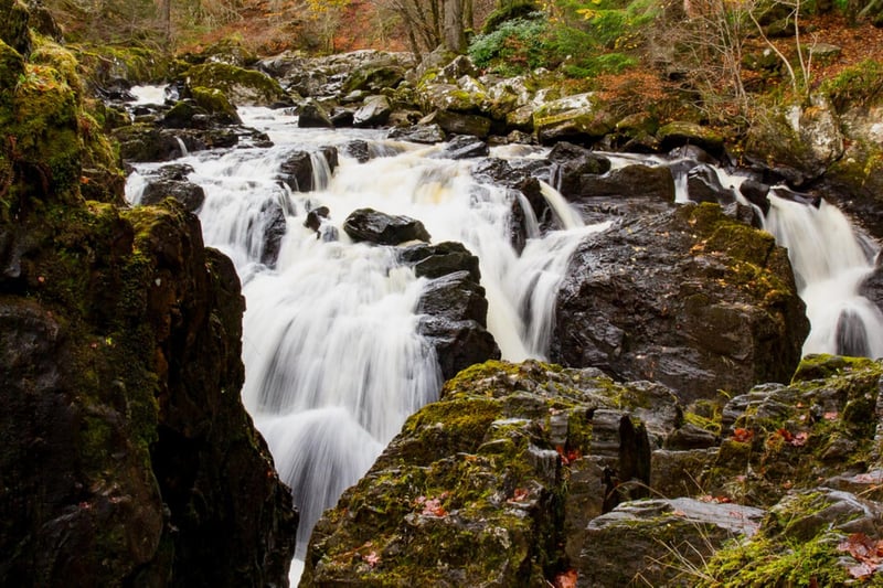In the Hermitage near Dunkeld these astonishing waterfalls have their own viewing balcony at Ossian's Hall where you can safely stand, mesmerised, for as long as you like. Inside the hall you can hear the thunder of the waterfall. They're surrounded by some of the tallest trees in Scotland so there's a truly vertical panorama of natural beauty.