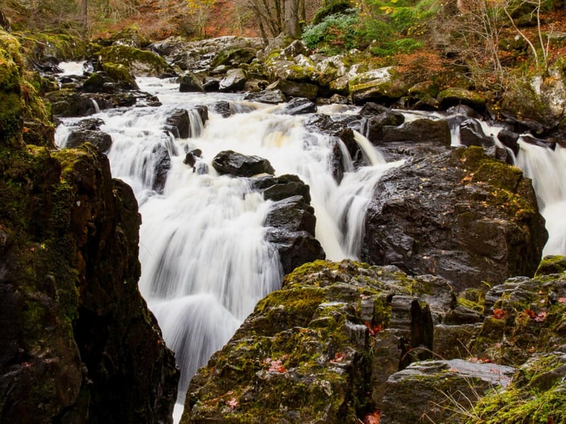 In the Hermitage near Dunkeld these astonishing waterfalls have their own viewing balcony at Ossian's Hall where you can safely stand, mesmerised, for as long as you like. Inside the hall you can hear the thunder of the waterfall. They're surrounded by some of the tallest trees in Scotland so there's a truly vertical panorama of natural beauty.