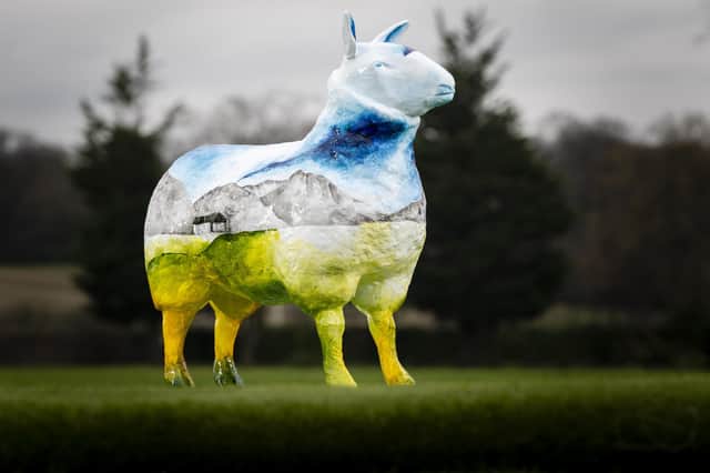 V-ewe from the Bothy by Kath Pender sponsored by Taylor Snacks