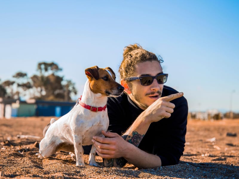 For the more active teenager, the fearless and intelligent Jack Russell can make a perfect pet. Highly-affectionate, they will quickly develop an unbreakable bond with your children, who they will love going on long walks with.