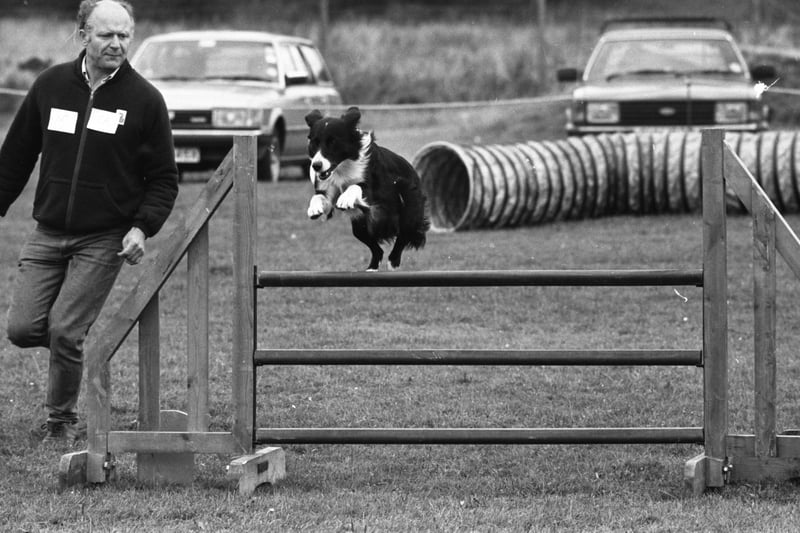 A Community Association dog training display at Shiney Row in September 1986. Who can tell us more?