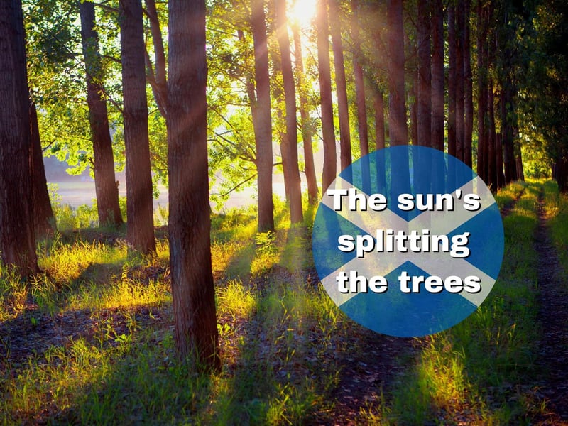 Something many of us have heard our Scottish grannies saying - it just means that it's a particularly sunny day outside.