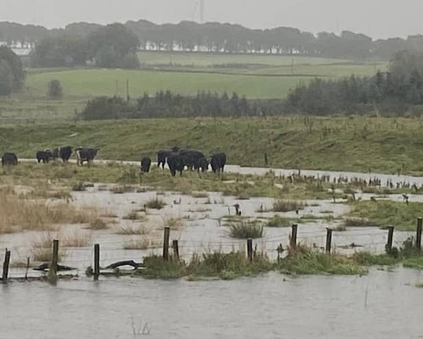 The Flooding Crisis Fund is offering payments of up to £1000 per farming family business.
