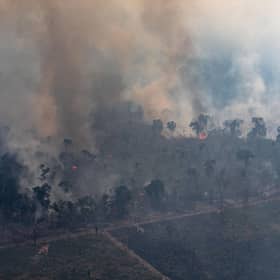 A fire burns in a section of the Amazon rainforest in the Candeias do Jamari region near Porto Velho in August last year (Picture: Victor Moriyama/Getty Images)