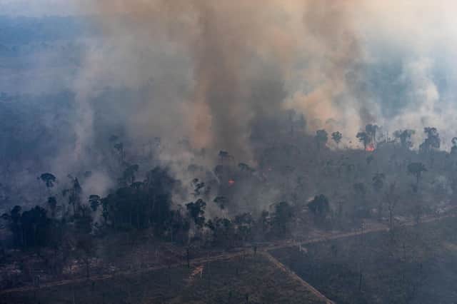 A fire burns in a section of the Amazon rainforest in the Candeias do Jamari region near Porto Velho in August last year (Picture: Victor Moriyama/Getty Images)