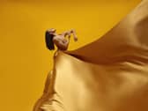 Jacquelin Harris of Alvin Ailey American Dance Theater. Picture: Dario Calmese