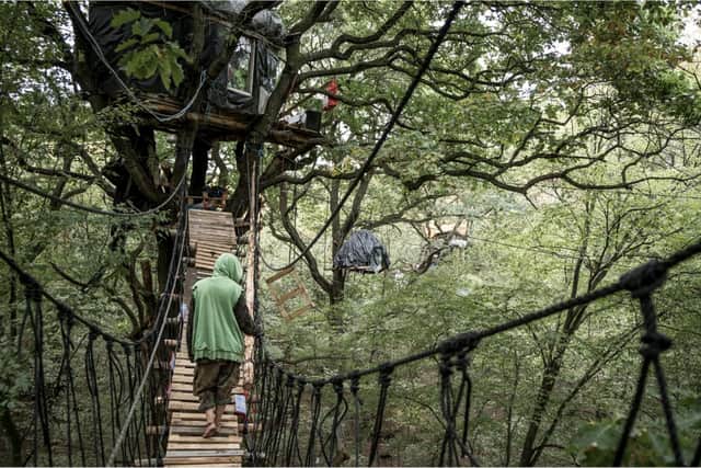 Treehouses, by Sophie Reuter PIC: Sophie Reuter / Courtesy of the CCA