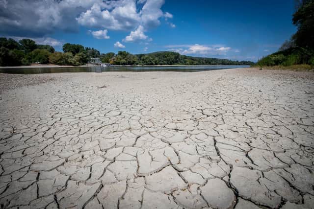 Even the mighty Danube River, seen at Szentendre, Hungary, has been much reduced by drought (Picture: Ferenc Isza/AFP via Getty Images)