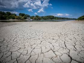 Even the mighty Danube River, seen at Szentendre, Hungary, has been much reduced by drought (Picture: Ferenc Isza/AFP via Getty Images)