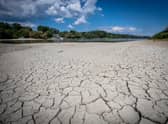 Even the mighty Danube River, seen at Szentendre, Hungary, has been much reduced by drought (Picture: Ferenc Isza/AFP via Getty Images)