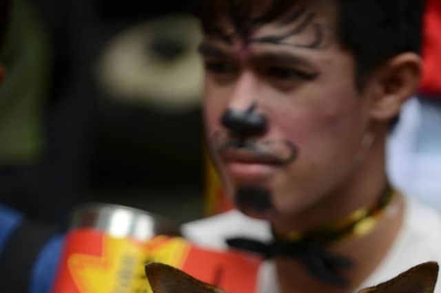 An animal rights advocate in a Manila protest against fireworks (Picture: Getty)
