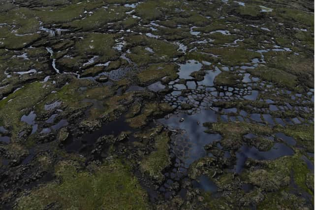 Healthy peatlands are important for tackling greenhouse gas emissions which are responsible for climate change – they are capable of storing on average 10 times more carbon per hectare than any other land habitat