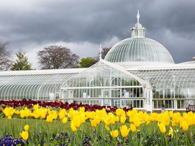 No trip to the West End of Glasgow is complete without a visit to Glasgow's Botanic Gardens to wander around the Kibble Palace. This enormous glass house was originally built for wealthy engineer John Kibble at his home on Loch Long in the 1860s, before being transported to the Botanics in 1873 and fully restored in 2004. It contains tropical plants, statues and a fish pond, and is much-loved by Glaswegians. Make sure to say hello to the fish on the way in.