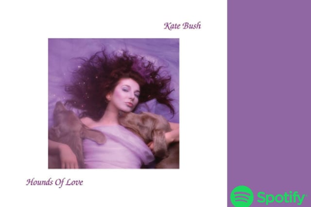 The first album to make this list that wasn't released this year, Kate Bush's 1985 album marked the return of Kate Bush to commercial success, after the relative disappointing results of The Dreaming from 1982.
