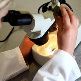 Scientists at the University of Dundee have discovered that a small part of an appetite-suppressing hormone called leptin can have dramatic effects on the brain, including stopping the development of Alzheimer’s in its earliest stages
