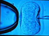 Unvaccinated women can now receive IVF and other fertility treatments.