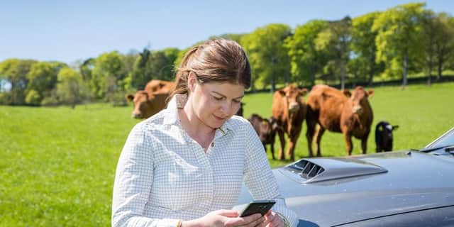 British beef suckler farmers will be able to share real-time cattle data with their vet