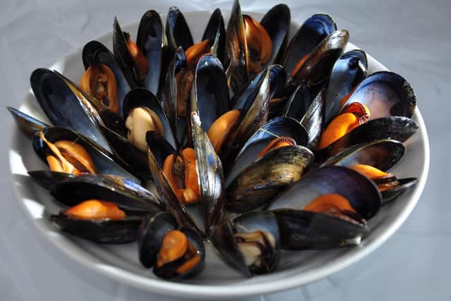 Scientists have found fibreglass in the soft tissues of mussels and oysters, sparking fear over the effects of contamination on both sealife and human health