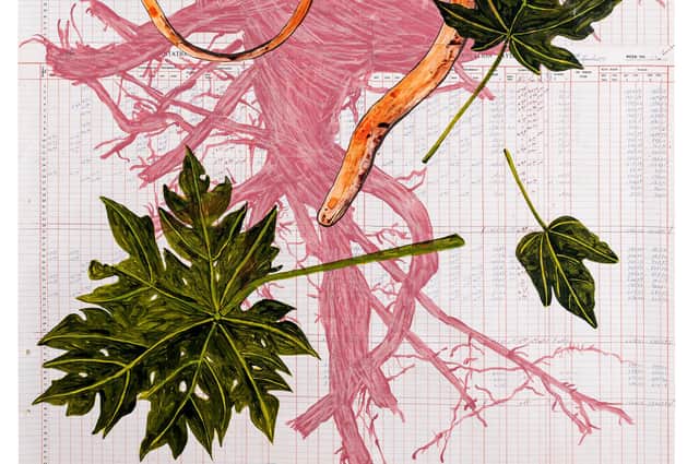 Detail from As If The Entanglements Of Our Lives Did Not Matter: Paw Paw (2019-2020) by Annalee Davis PIC: Daniel Christaldi