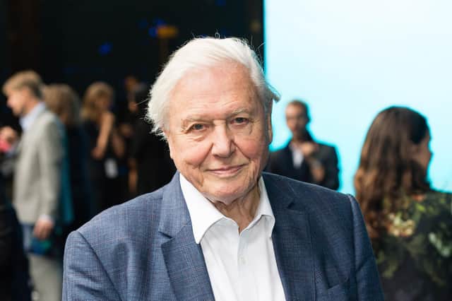 Sir David Attenborough's latest BBC documentary, Extinction: The Facts, should not be treated simply like a piece of grimly fascinating entertainment (Picture: Jeff Spicer/Getty Images)