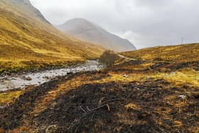 The remains of a substantial wildfire at a roadside camping hotspot in Glen Etive in April (National Trust Scotland)