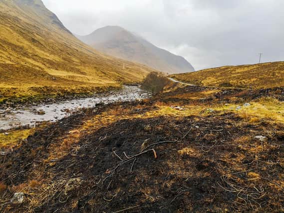 The remains of a substantial wildfire at a roadside camping hotspot in Glen Etive in April (National Trust Scotland)