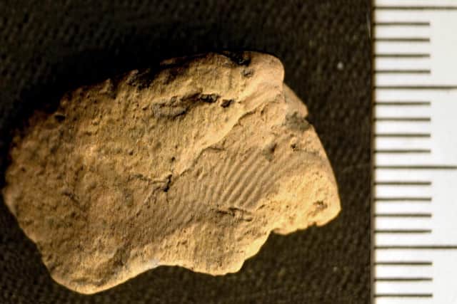 A prehistoric fingerprint on a piece of pottery has revealed details about our ancient ancestors