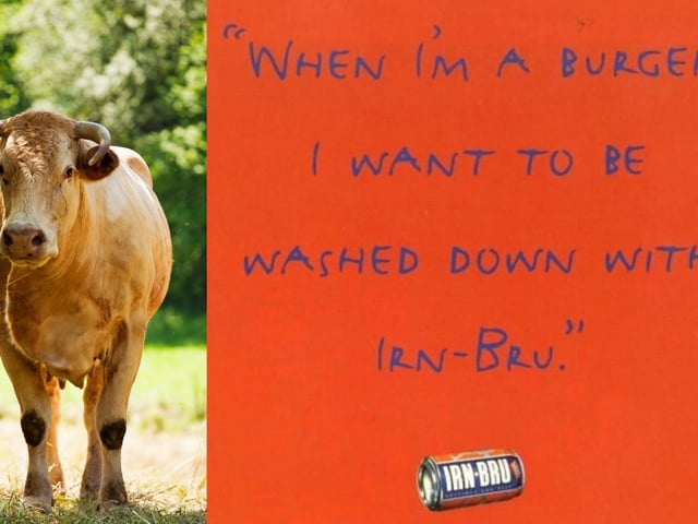 The brand is known for its hilarious yet controversial adverts that have pushed the boundaries of what's acceptable in marketing. One such poster featured a cow with the slogan "When I'm a burger I want to be washed down with Irn Bru" and this attracted hundreds of complaints. Another advert, which featured a young woman in a bikini holding an Irn Bru can, said: "I never knew four-and-a-half-inches could give so much pleasure." This was also met with significant controversy.
