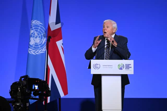 COP26: Sir David Attenborough tells world leaders that humanity is “already in trouble” at Glasgow climate conference. (Picture: Jeff J Mitchell/Getty Images)