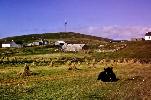 Photo of farmland on Shetland Island taken by Neil Dymond in the 1970s picture: Nick Dymond