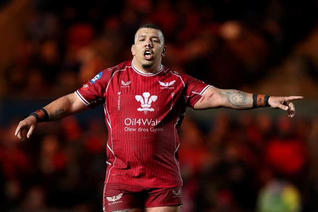 Sebastian played for Scarlets last season and is now contracted to Edinburgh.