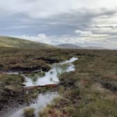 Mr Ward said Rottal is managed in a way to integrate both traditional land use and other business interests (pic: Graeme Hart/Perthshire Picture Agency)