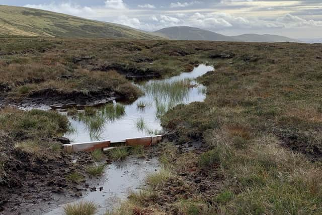 Mr Ward said Rottal is managed in a way to integrate both traditional land use and other business interests (pic: Graeme Hart/Perthshire Picture Agency)