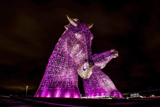 The Kelpies light up  purple for epilepsy awareness day (Picture: Submitted)