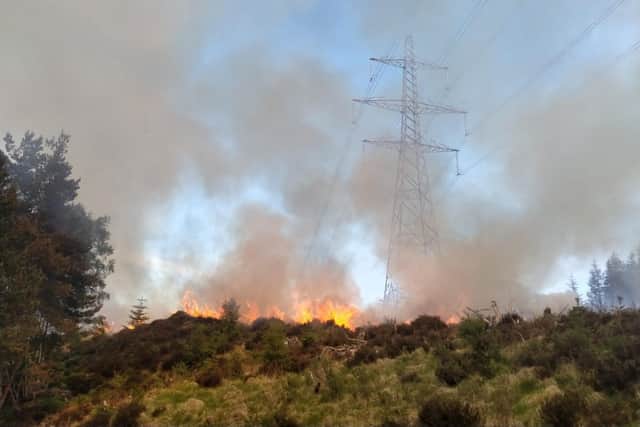 A wildfire burns close to electricity pylons near Cannich in the Highlands in a sign of one of the direct threats that climate change will increasingly pose (Picture: FLS)