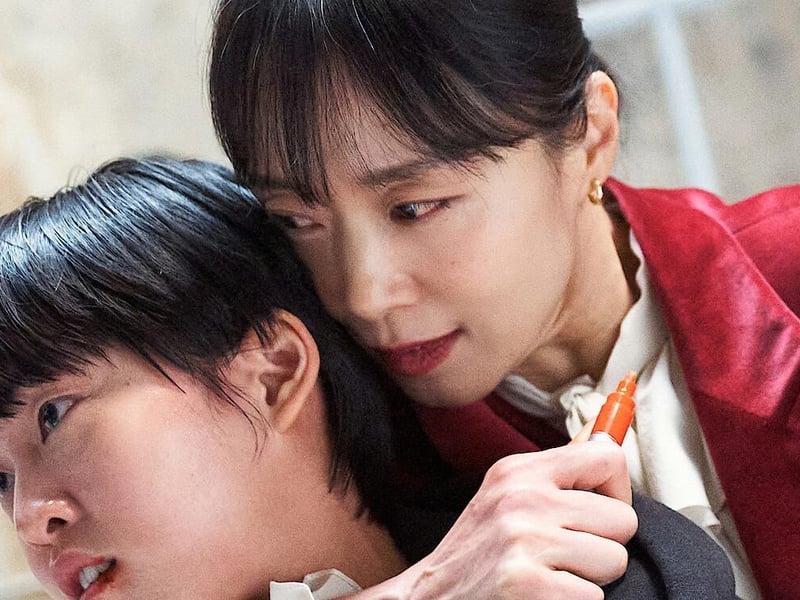 Kill Boksoon is a thrill a minute assassin movie that sees a stay at home mother juggle motherhood with her secret life. Only released this year, it threatens to become an instant classic.