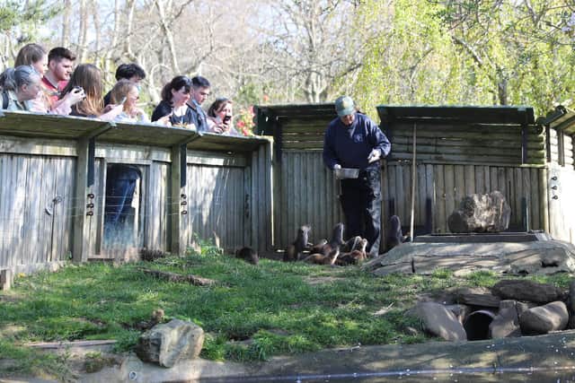 Zoos play an important role in conservation and in connecting people with nature, according to the Royal Zoological Society of Scotland. Picture: RZSS