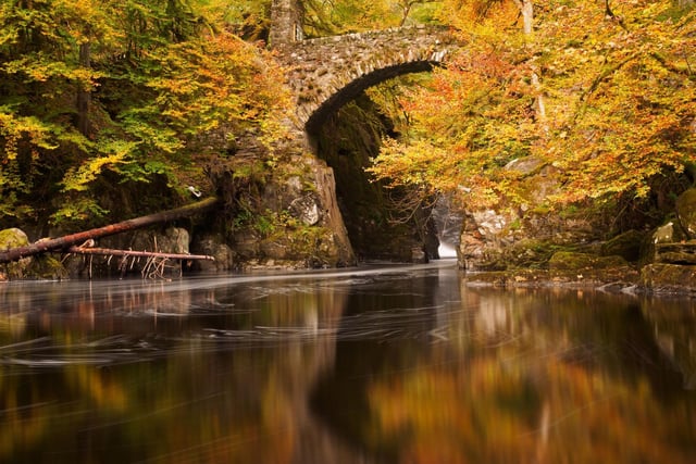 Set in the Perthshire countryside, the Hermitage offers a stunning walk along the River Bran. As well as towering trees there's a spectacular waterfall and the picturesque Georgian folly of Ossian's Hall.
