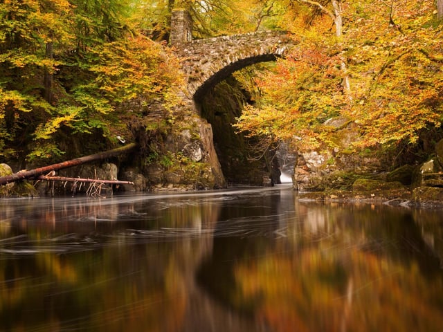 Set in the Perthshire countryside, the Hermitage offers a stunning walk along the River Bran. As well as towering trees there's a spectacular waterfall and the picturesque Georgian folly of Ossian's Hall.