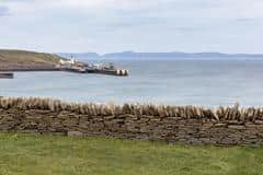 The whales were spotted in the bay in Thurso